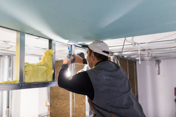 Best Wall Insulation Contractor  in St Joseph, MN