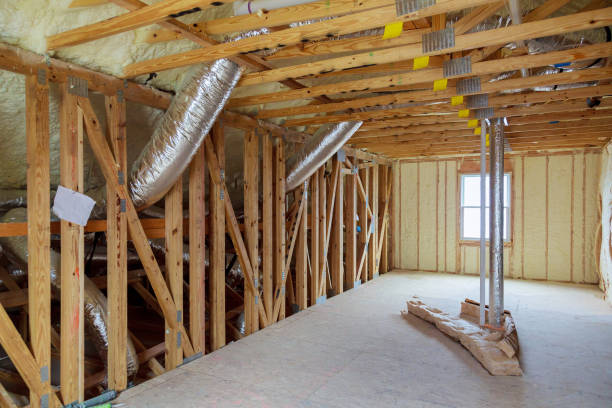 Best Insulation Inspection Services  in St Joseph, MN