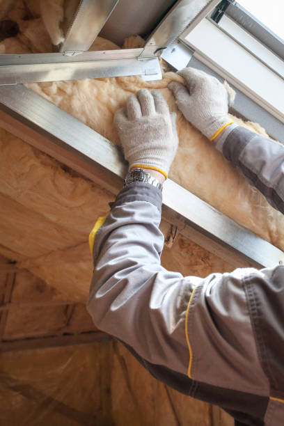 Best Cellulose Insulation  in St Joseph, MN