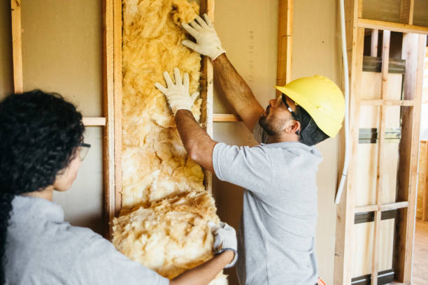 Best Best Insulation Companies  in St Joseph, MN