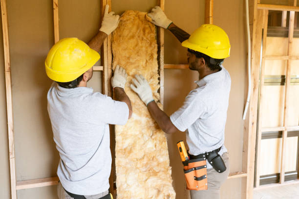 Best Professional Insulation Contractor  in St Joseph, MN