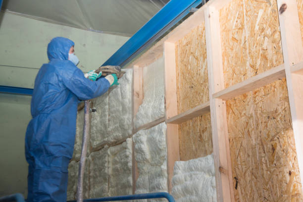 Professional Insulation Contractor in St Joseph, MN
