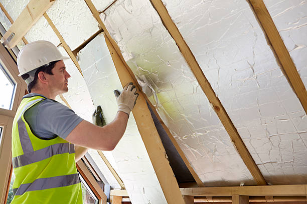 Professional Insulation Contractor in St Joseph, MN