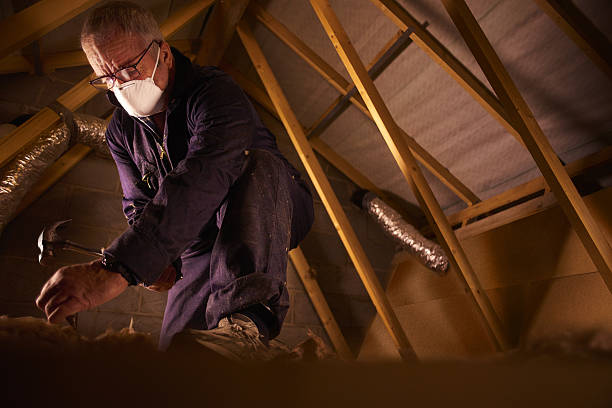 Best Blown-in Insulation  in St Joseph, MN