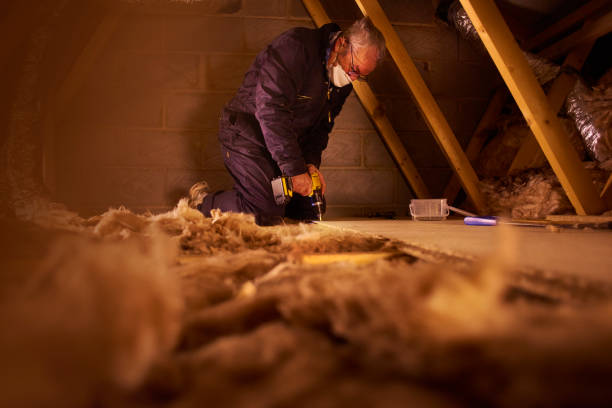 Insulation Repair Services in St Joseph, MN