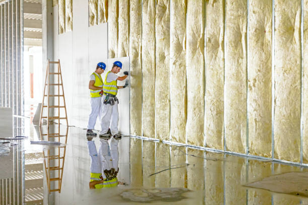 Best Insulation Contractors for Homes  in St Joseph, MN